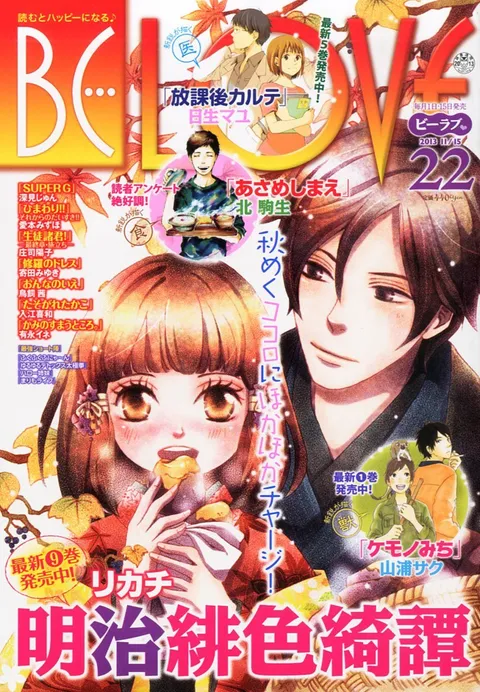 Portada de BE LOVE 2013 22