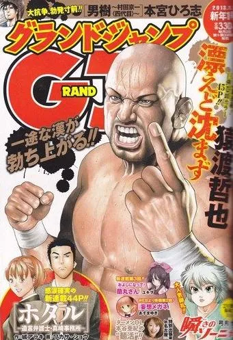 Couverture de Grand Jump 2013 1