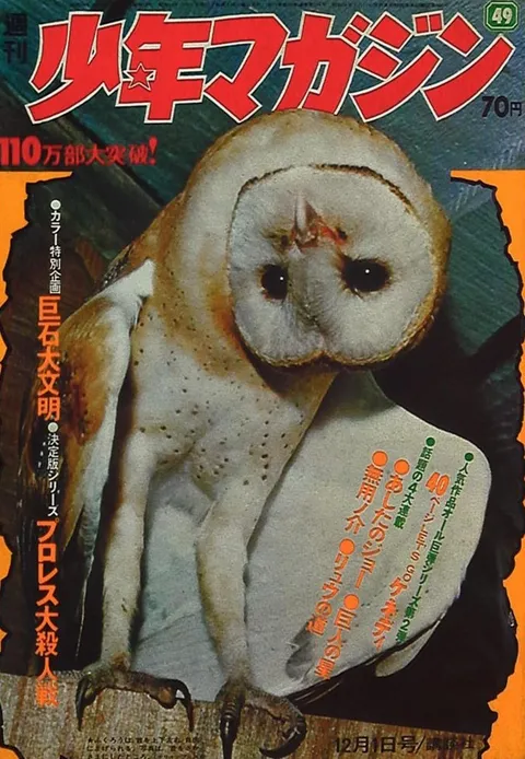 Cover von Weekly Shōnen Magazine 1969 49