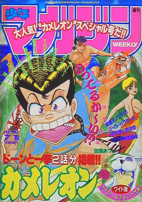 Cover of Weekly Shōnen Magazine 1991 29
