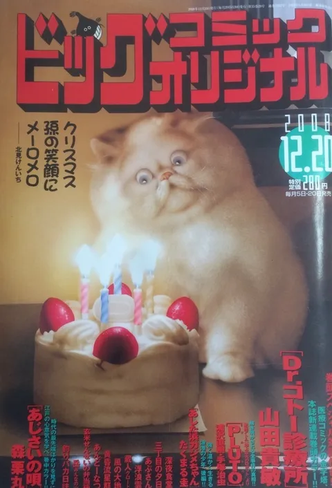 Cover of Big Comic Original 2008 24