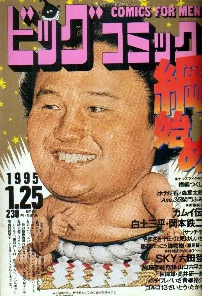 Couverture de Big Comic 1995 2