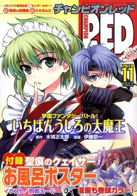Cover von Champion RED 2010 11
