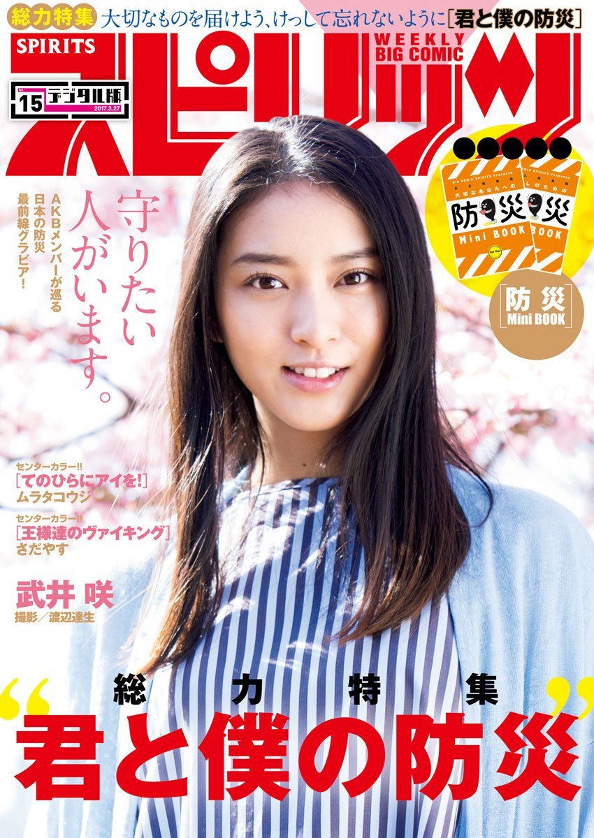 Cover of Big Comic Spirits 2017 15