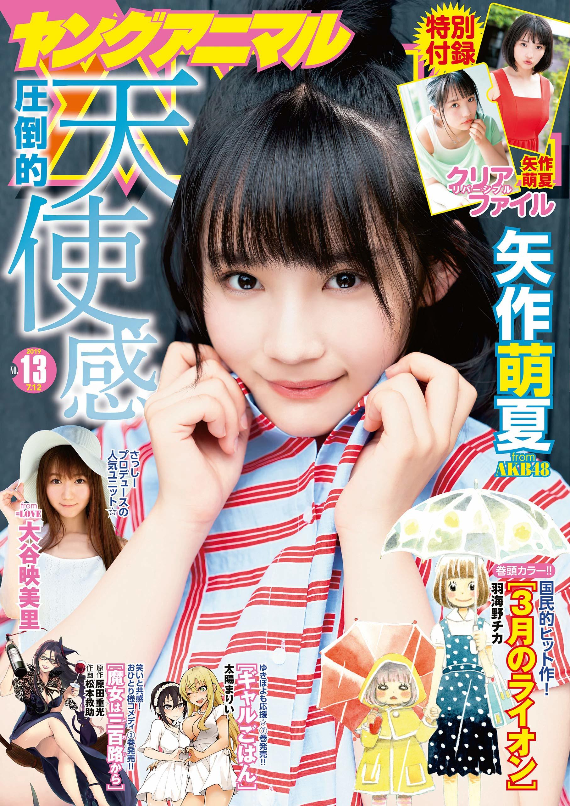 Cover of Young Animal 2019 13