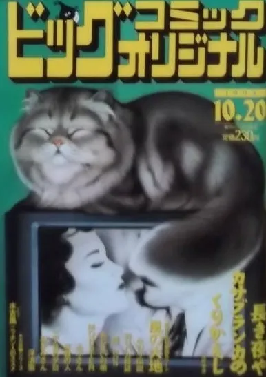 Cover of Big Comic Original 1995 20