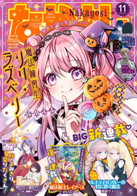 Copertina di Nakayoshi 2026 11