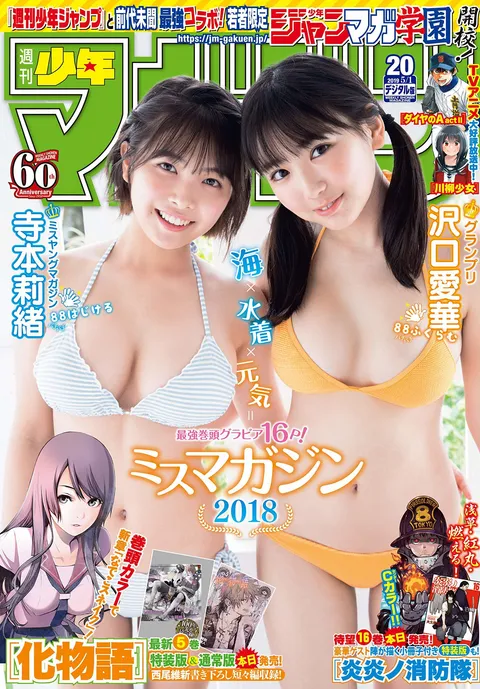 Cover of Weekly Shōnen Magazine 2019 20
