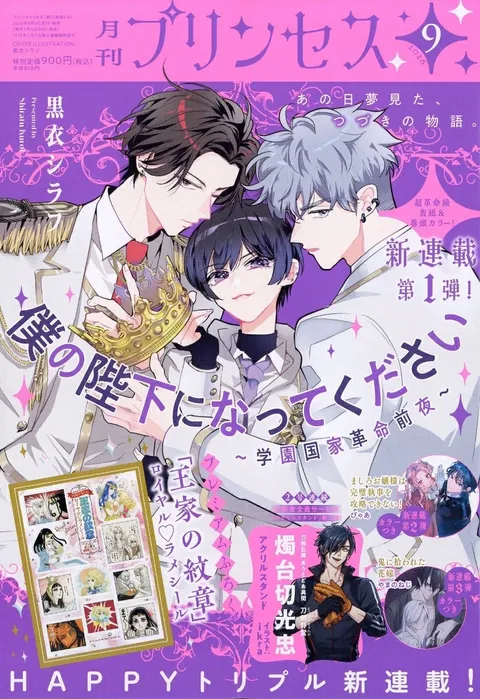 Cover von Princess 2026 9