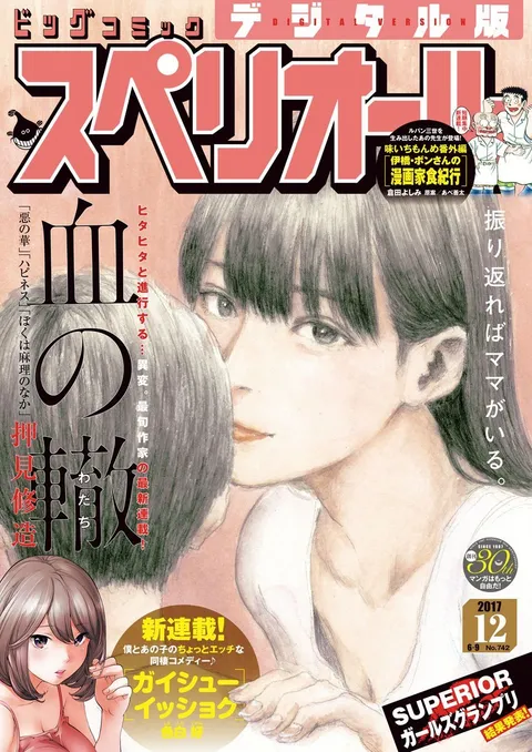 Copertina di Big Comic Superior 2017 12