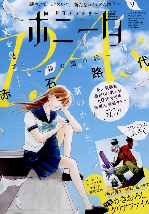 Cover von Mystery Bonita 2024 9