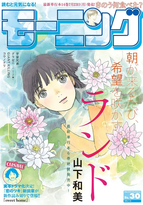 Copertina di Morning 2018 30