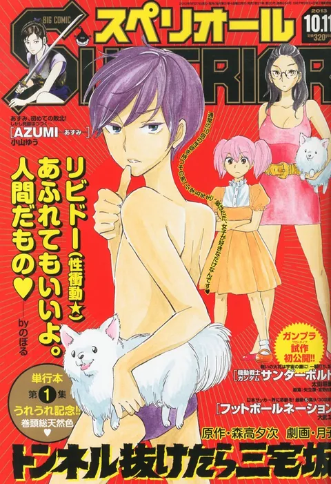 Copertina di Big Comic Superior 2013 20
