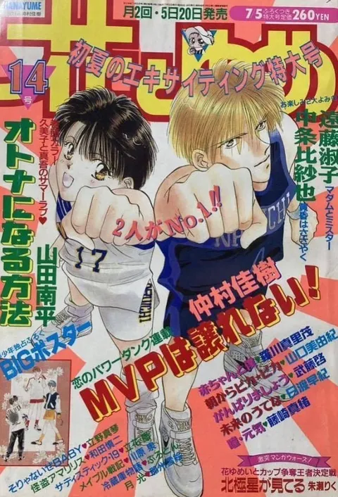 Copertina di Hana to Yume 1995 14