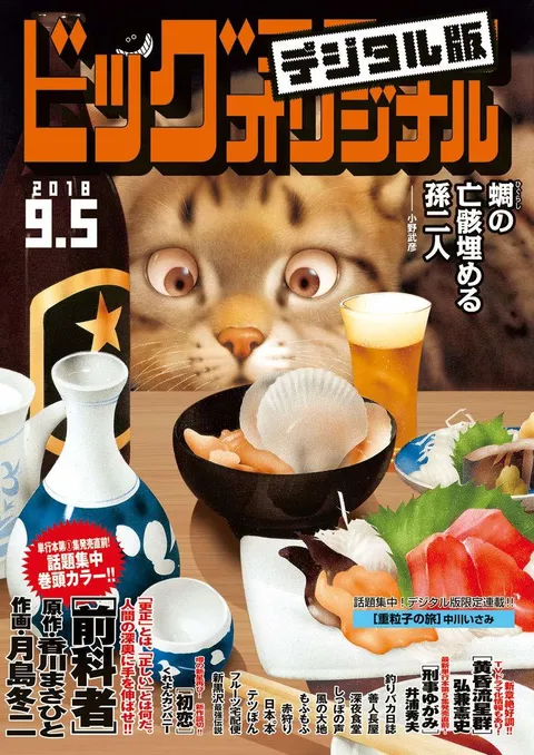 Cover of Big Comic Original 2018 17
