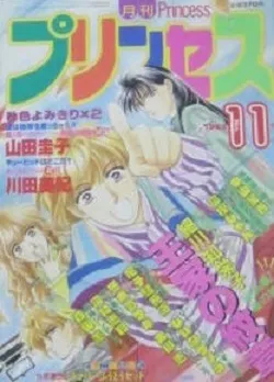 Portada de Princess 1993 11