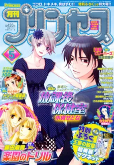 Couverture de Princess 2007 5
