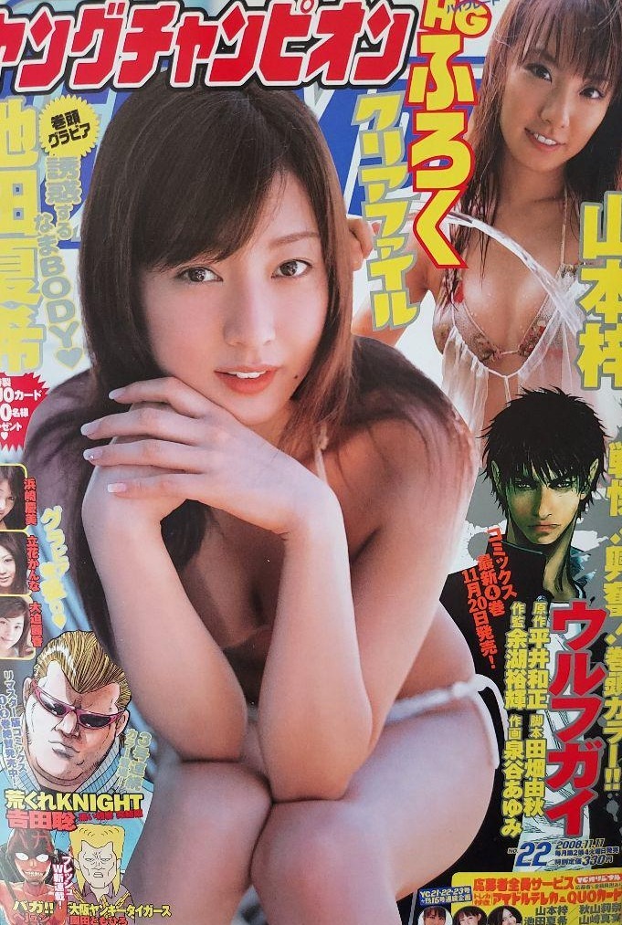 Cover of Young Champion 2008 22