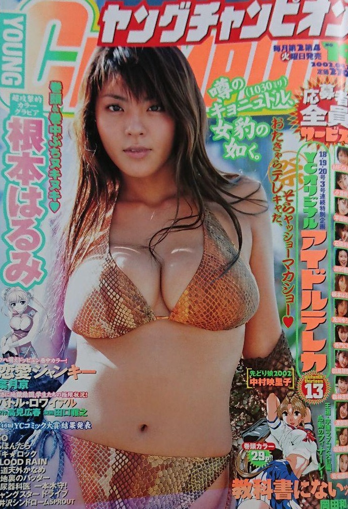 Copertina di Young Champion 2002 19