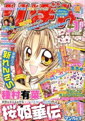 Cover von Ribon 2009 1