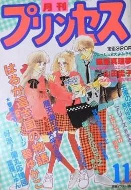 Copertina di Princess 1988 11