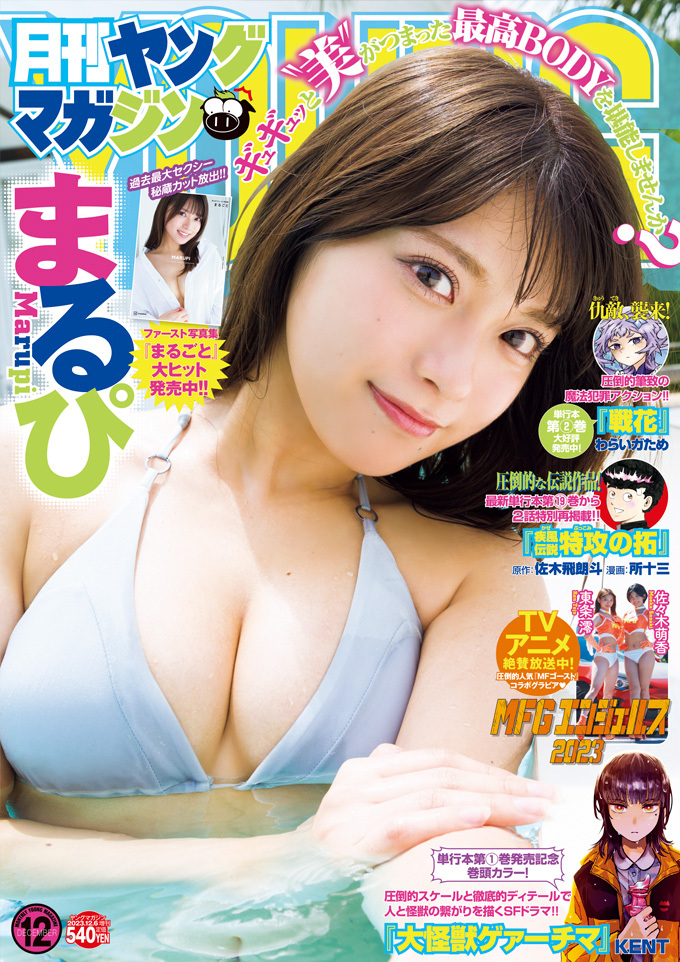 Copertina di Monthly Young Magazine 2024 12