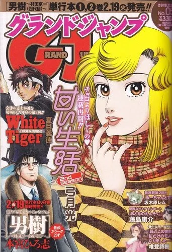 Couverture de Grand Jump 2013 5