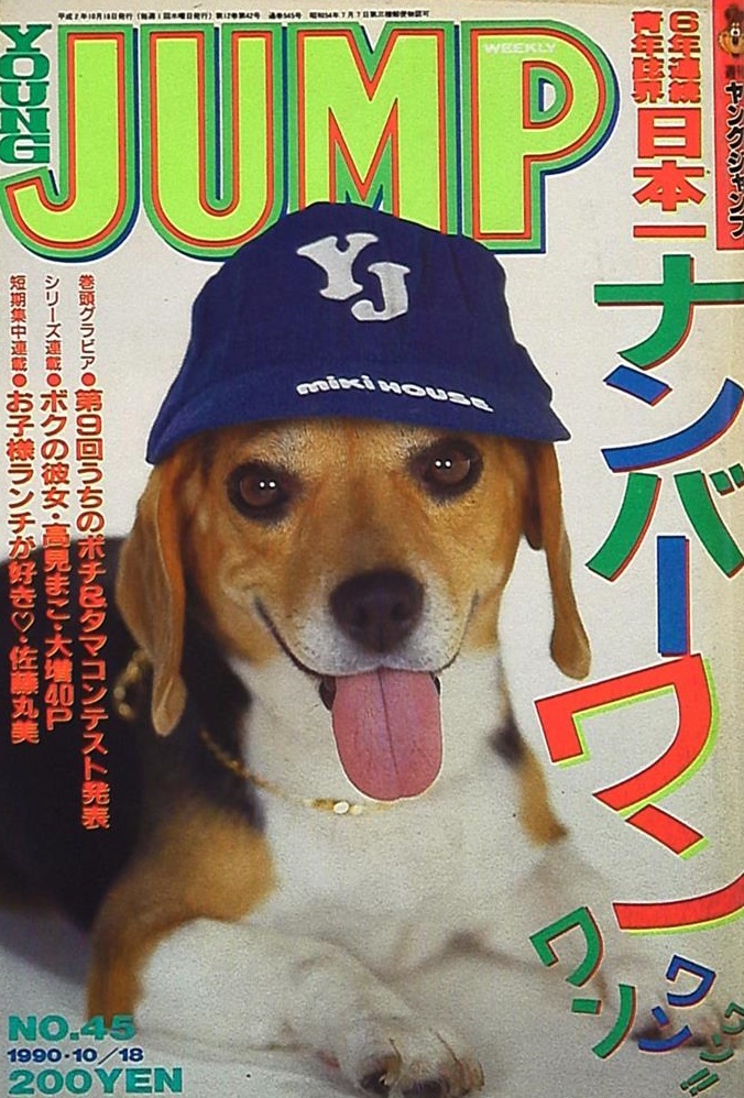 Copertina di Weekly Young Jump 1990 45