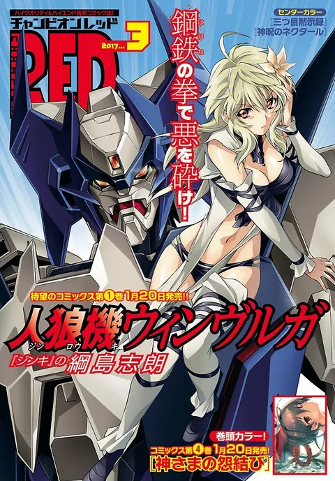 Copertina di Champion RED 2017 3