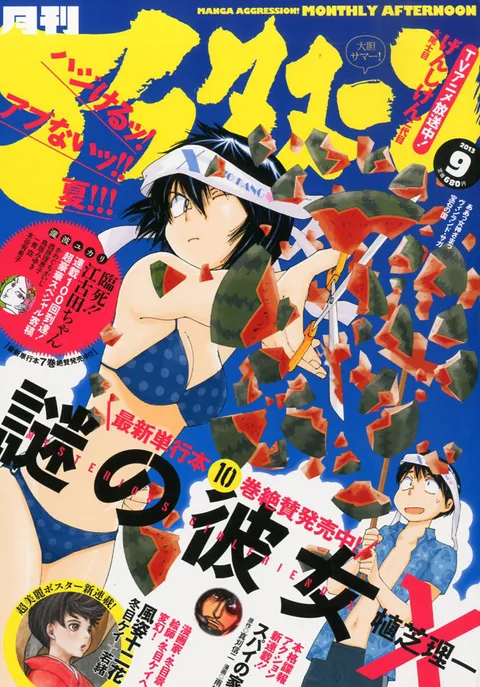 Couverture de Afternoon 2013 9