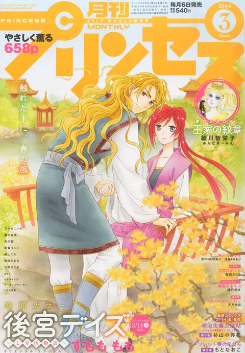 Copertina di Princess 2014 3