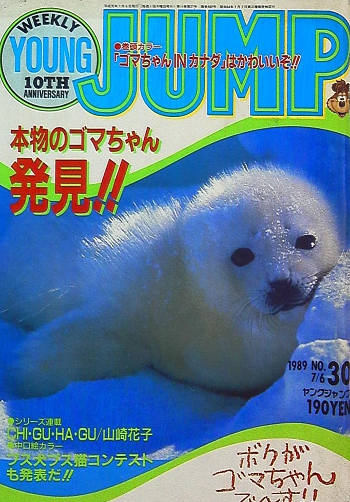 Copertina di Weekly Young Jump 1989 30