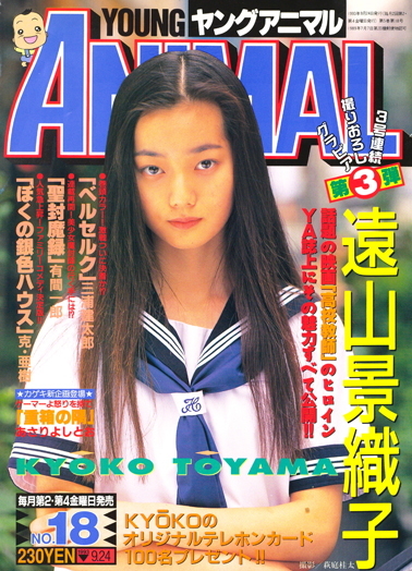 Copertina di Young Animal 1993 18
