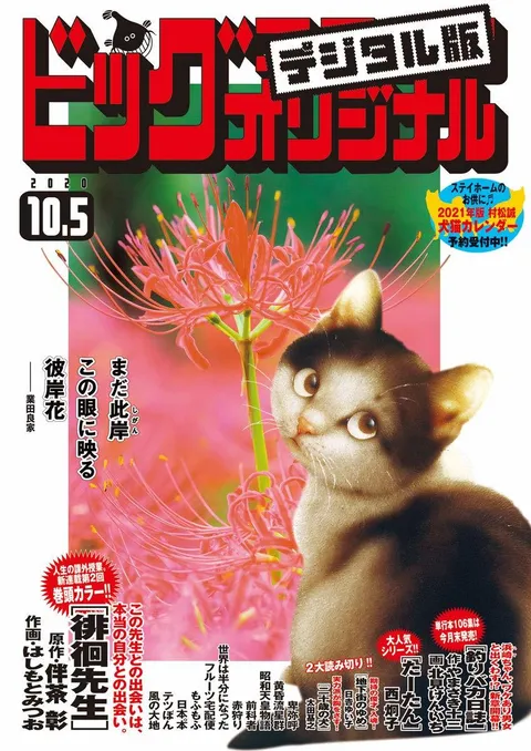 Cover of Big Comic Original 2020 19
