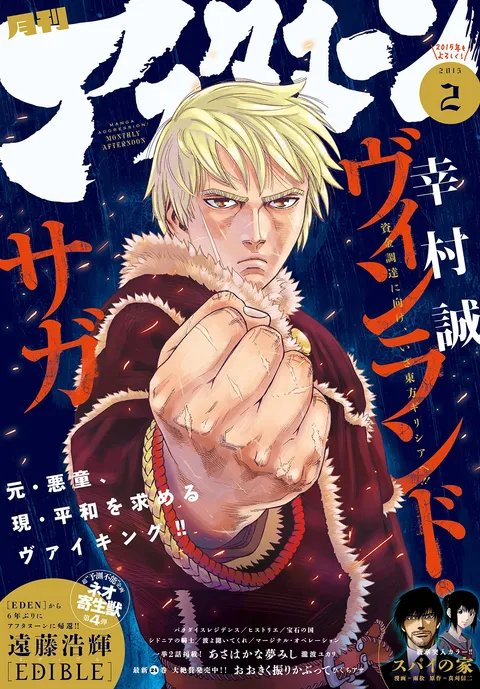 Cover von Afternoon 2015 2