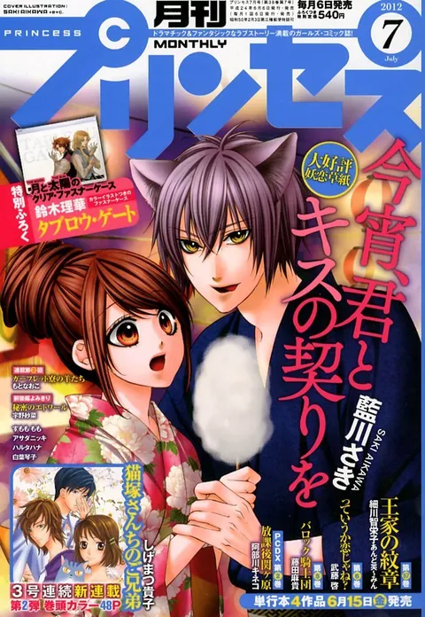 Cover von Princess 2012 7