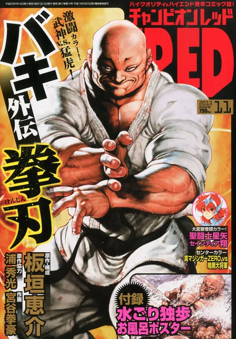 Cover of Champion RED 2013 11