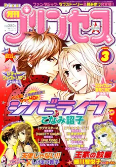 Copertina di Princess 2006 3