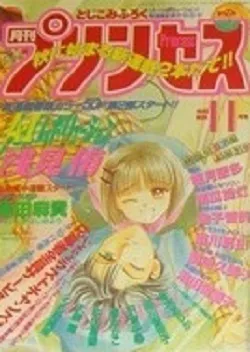 Couverture de Princess 1995 11
