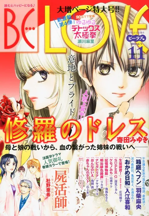 Portada de BE LOVE 2013 11