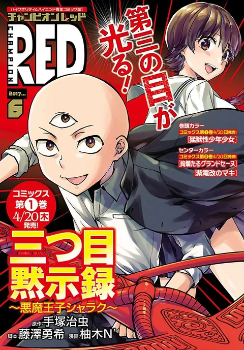 Copertina di Champion RED 2017 6