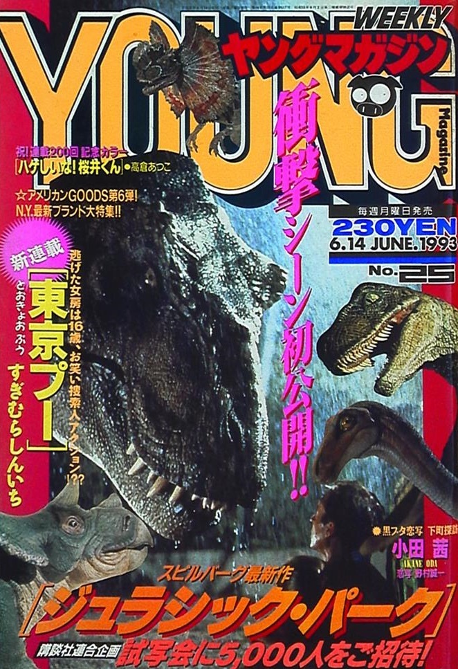 Cover of Weekly Young Magazine 1993 25