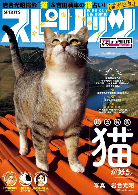 Portada de Big Comic Spirits 2017 4-5