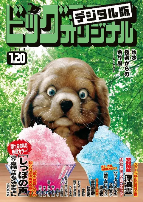 Cover of Big Comic Original 2020 14