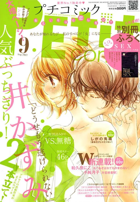 Couverture de Petit Comic 2012 9