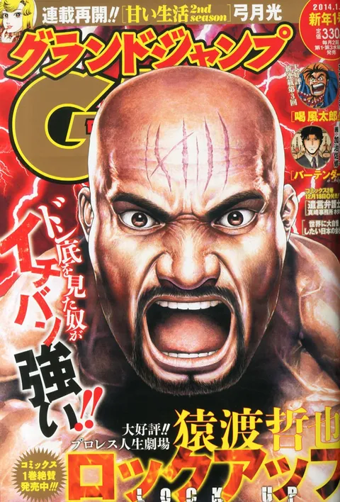 Couverture de Grand Jump 2014 1