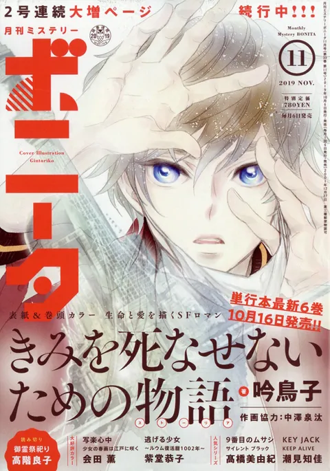 Copertina di Mystery Bonita 2019 11