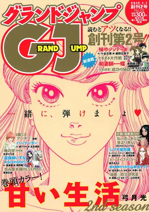 Couverture de Grand Jump 2012 2