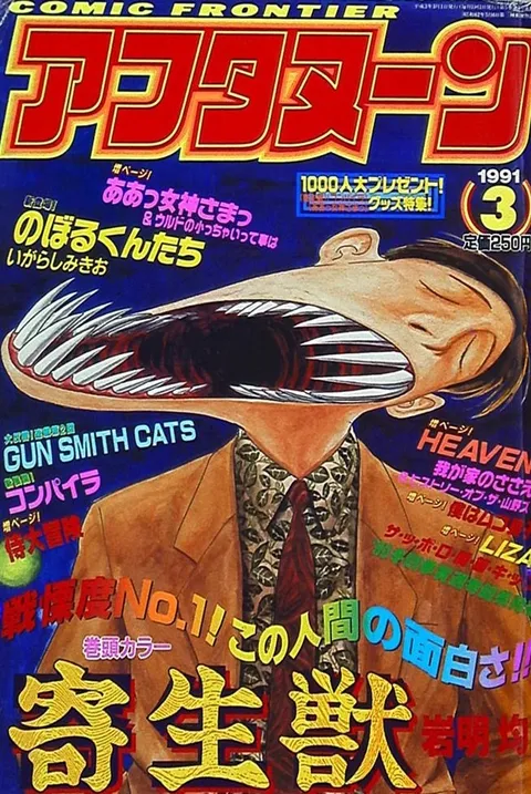 Cover von Afternoon 1991 3