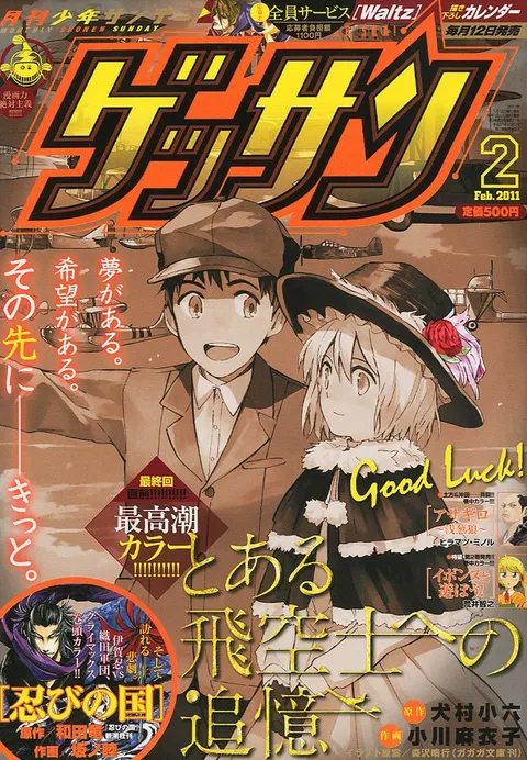 Copertina di Gessan 2011 2
